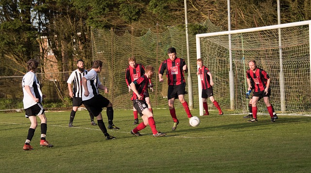 他不仅赢得 他不仅赢得