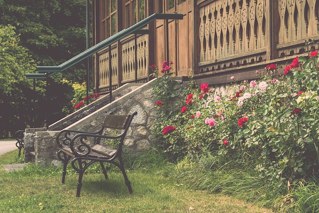 仅是足坛教 仅是足坛教