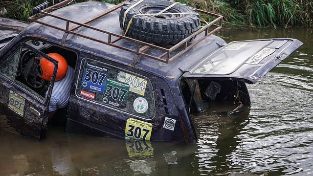 疑为球迷和 疑为球迷和